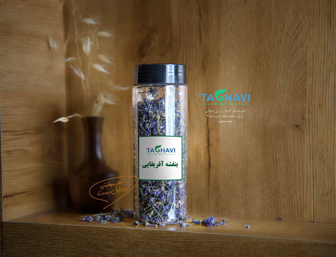 بنفشه آفریقایی